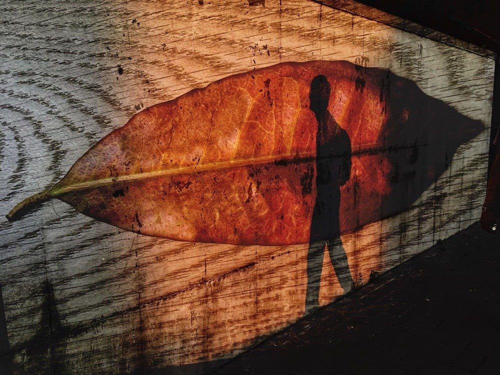 Лето в Москве (summer in Moscow)