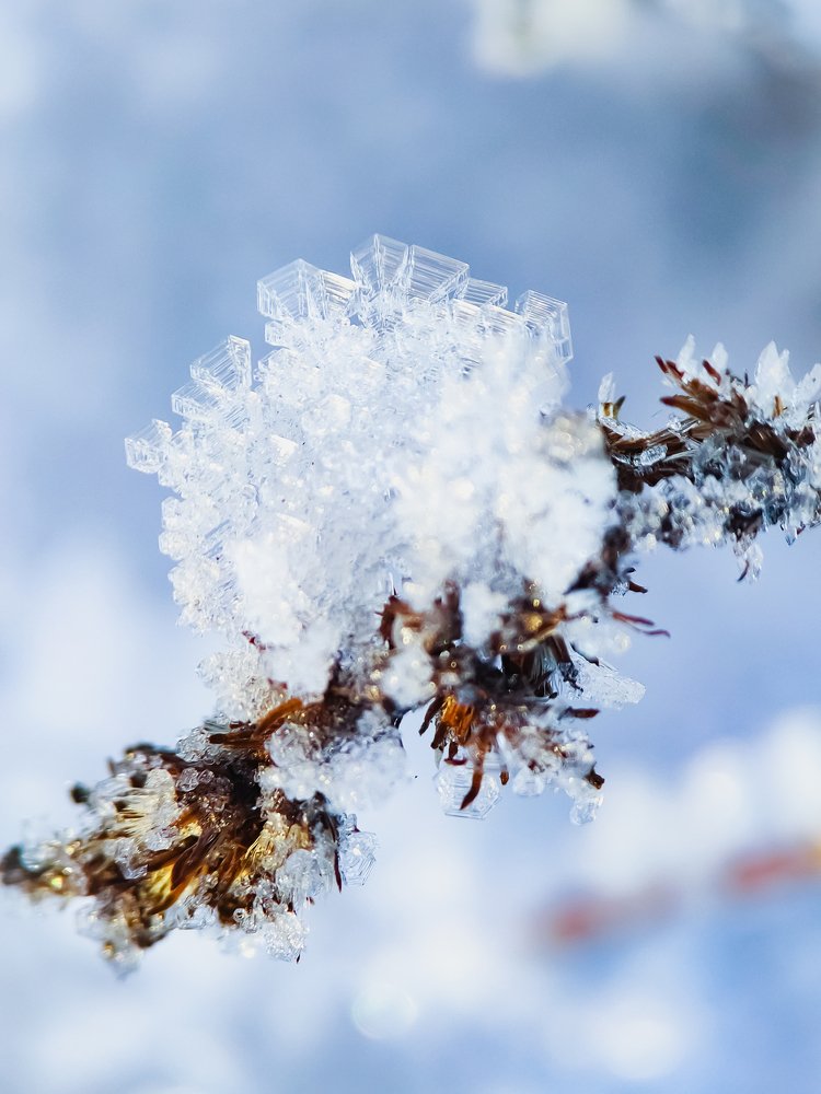 Photograph by Алеся Писнова