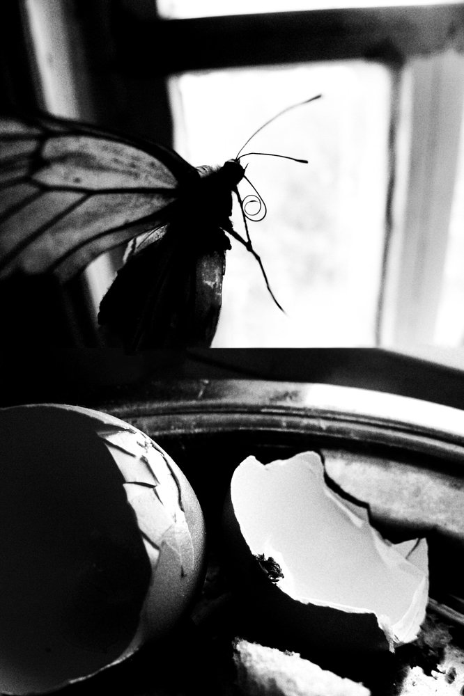 Photograph by Мария Буданова