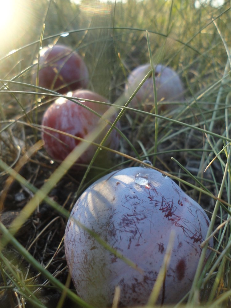 Photograph by Дмитрий Соколов