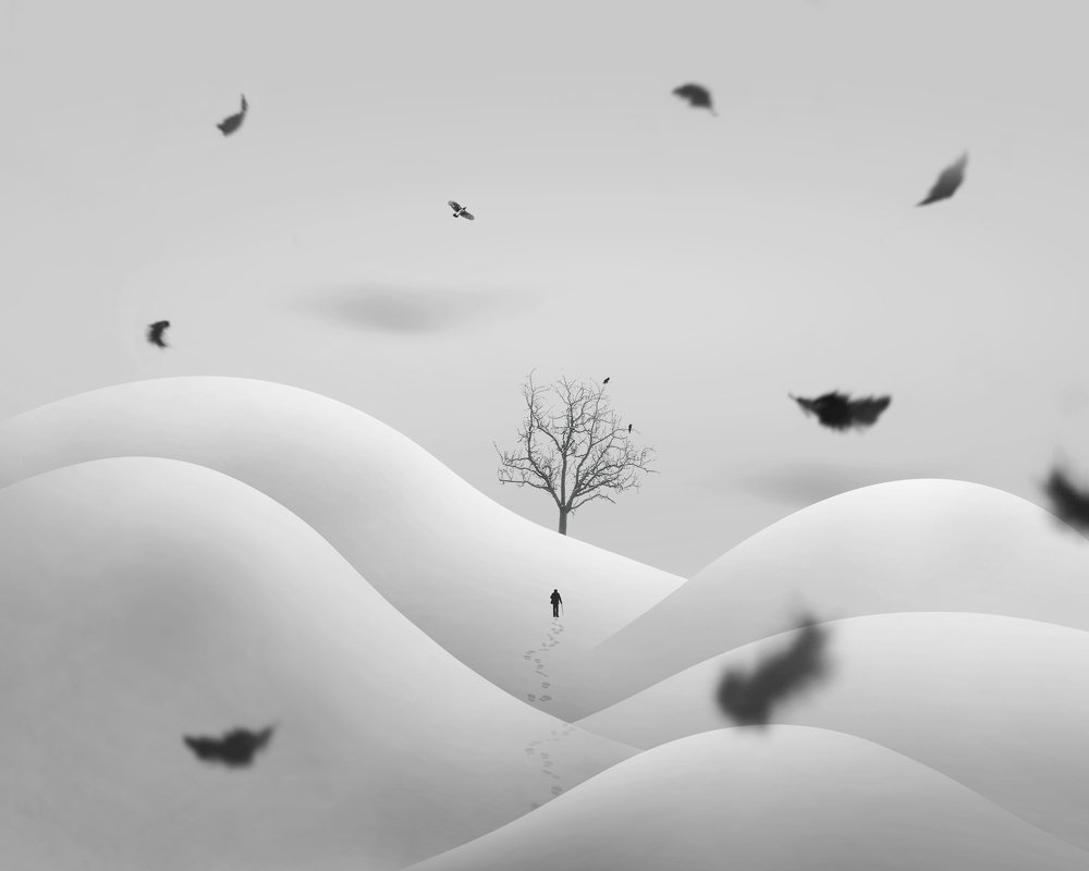 Фотография автора mehrdad Alizadeh