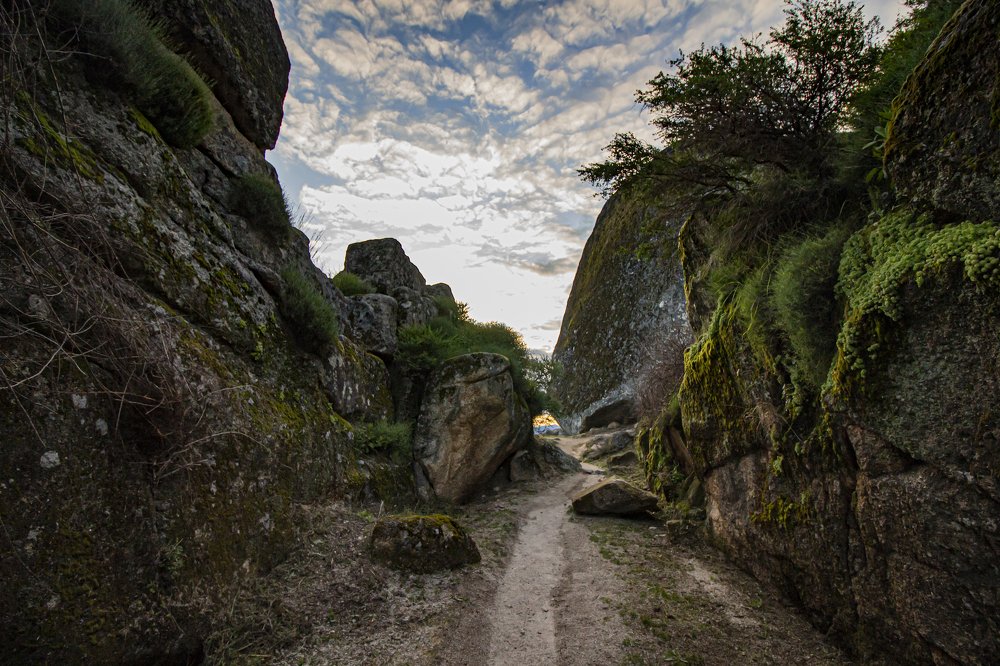 Фотография автора Marina Starovoyt