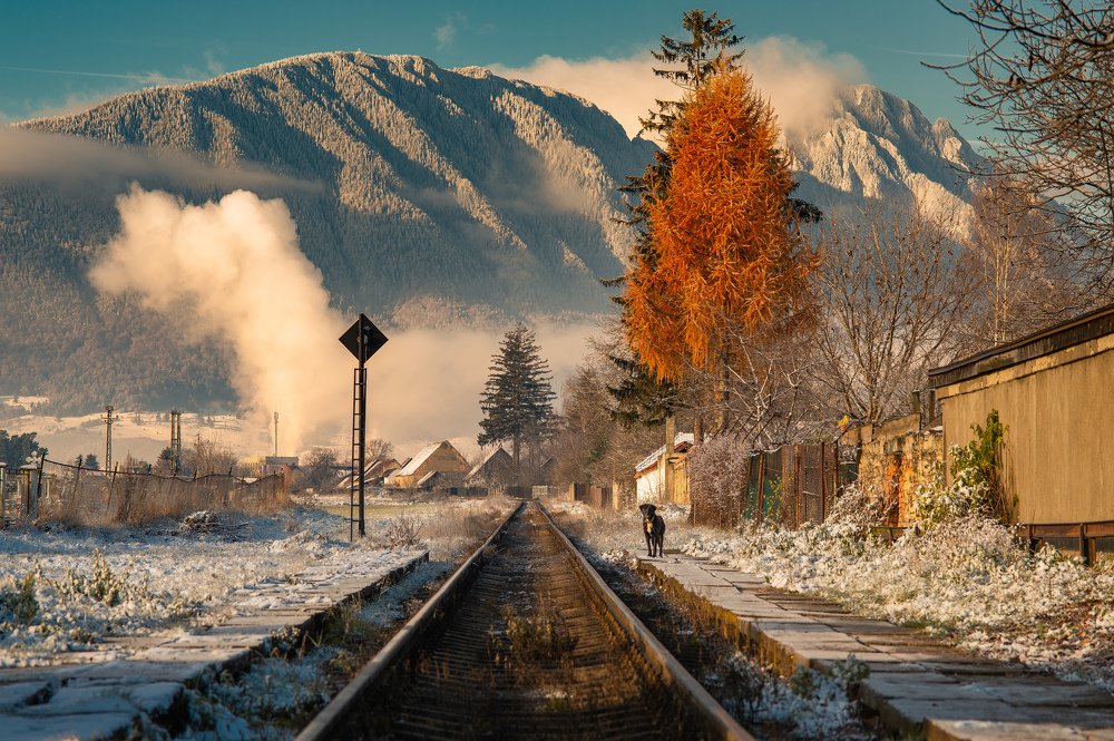 Photograph by Hantzy Kessler