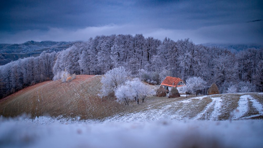 Photograph by Hantzy Kessler