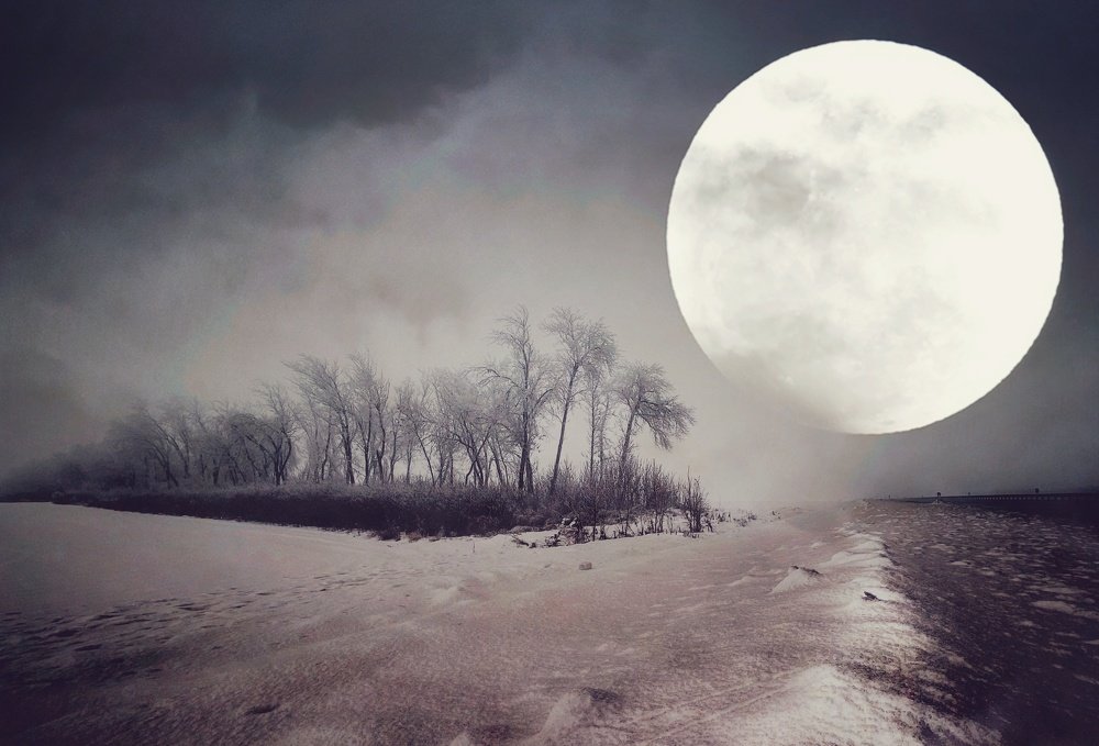 Photograph by Елена Гарибян