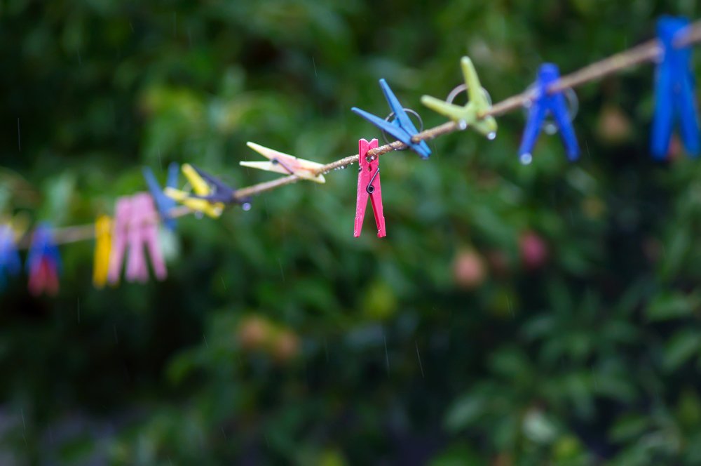 Photograph by Мария Фролова