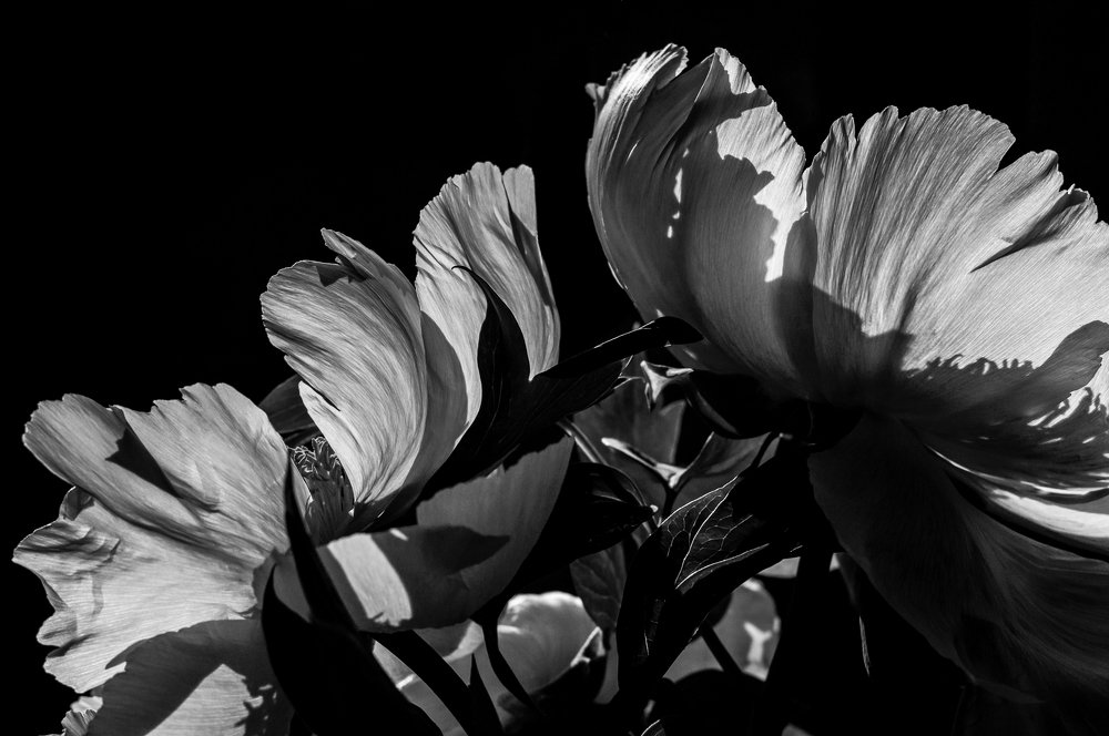 Photograph by Мария Фролова