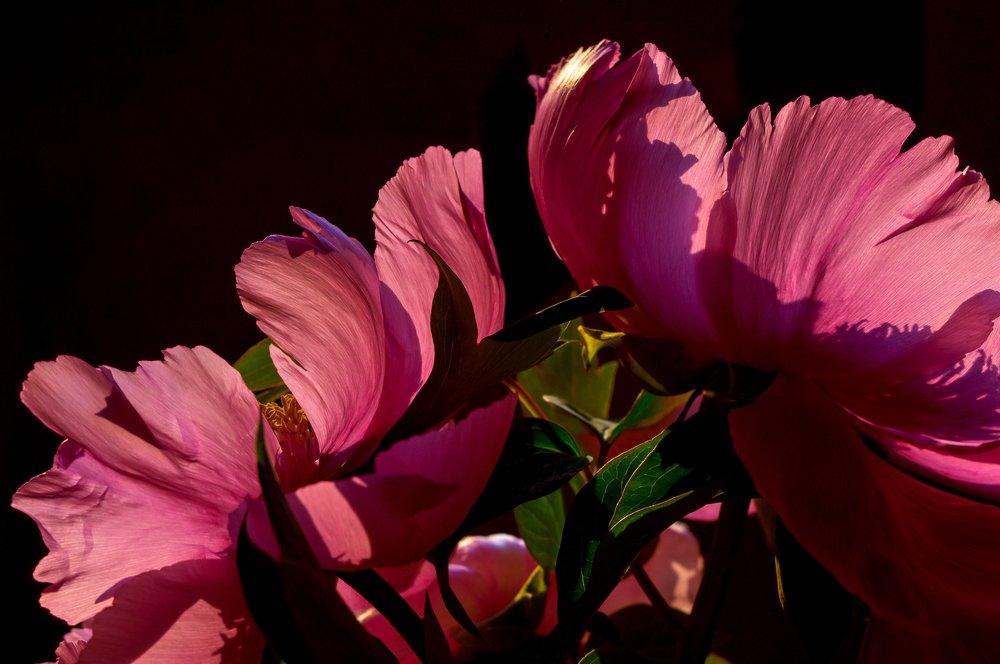 Photograph by Мария Фролова