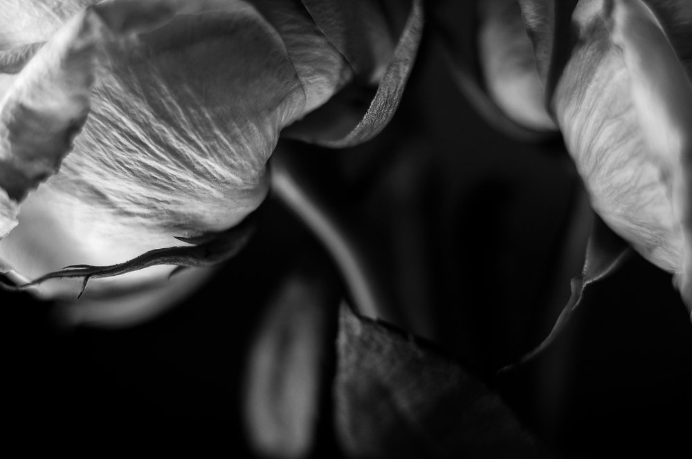 Photograph by Мария Фролова