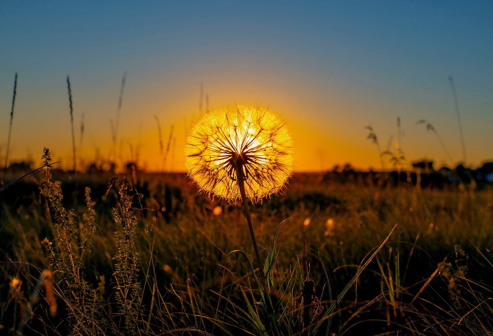 Photograph by Алексей Сиваков