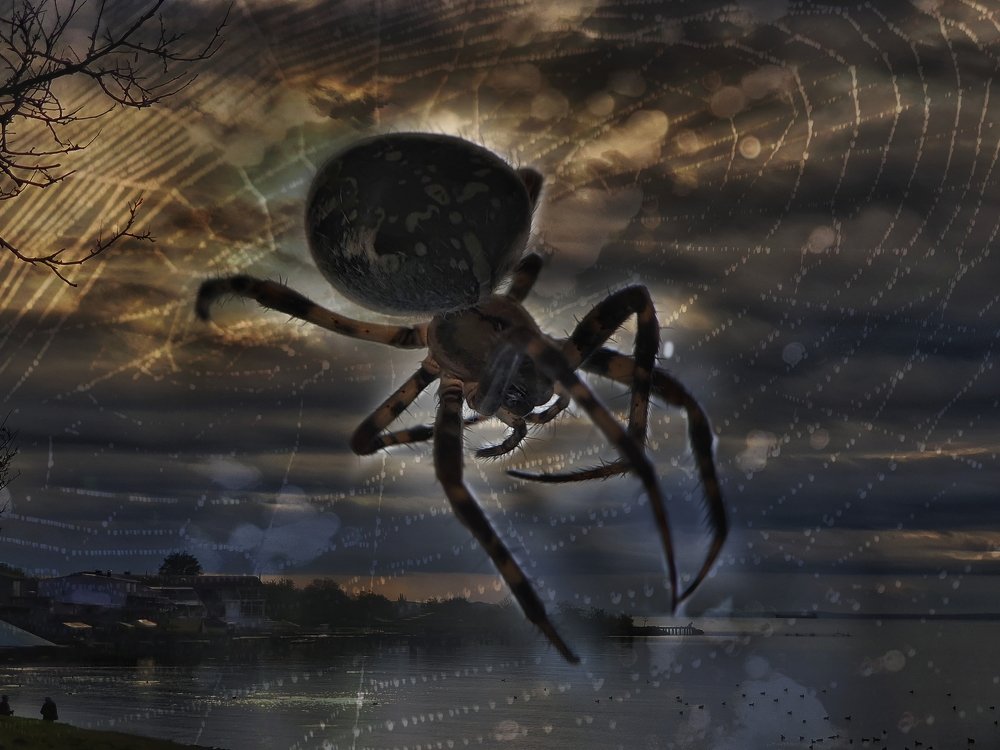 Photograph by Лариса Когтева