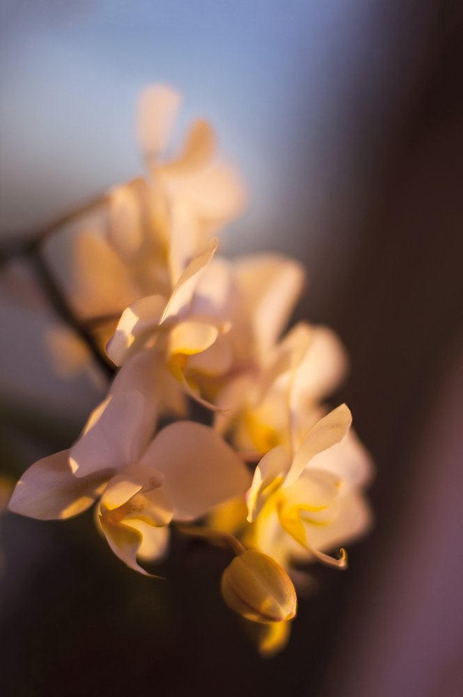 Photograph by Мария Фролова