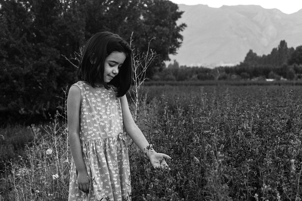 Photograph by MohammadHasan Raadi