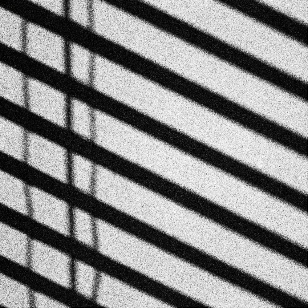 Photograph by Любомир Василев