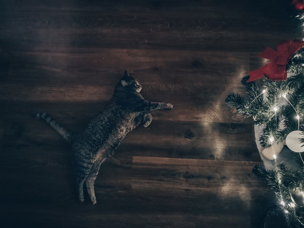 Photograph by Инна Соловей