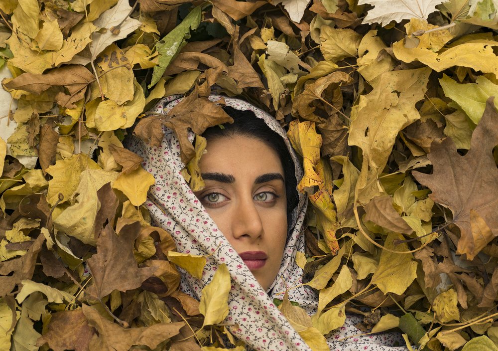Photograph by MohammadHasan Raadi