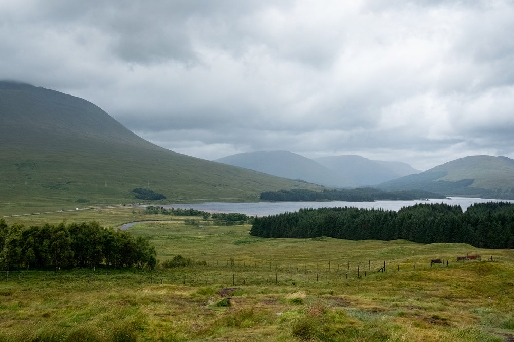 Photograph by Julia Mustard