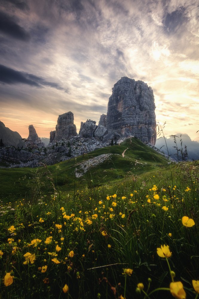 Photograph by Mattia Maniezzo