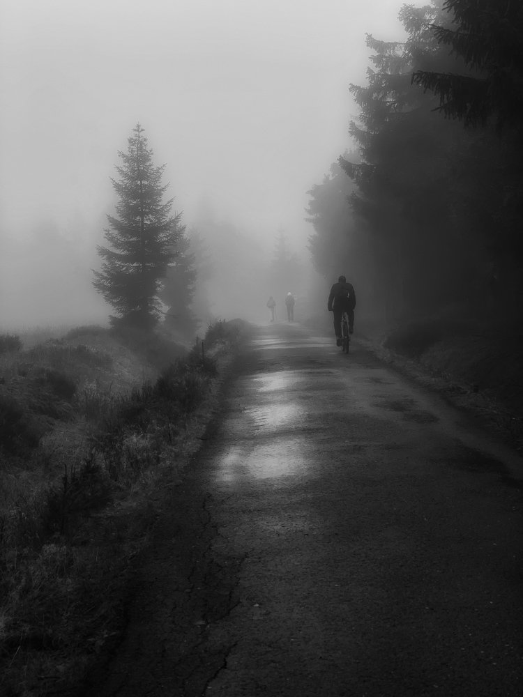 Towards the mist
