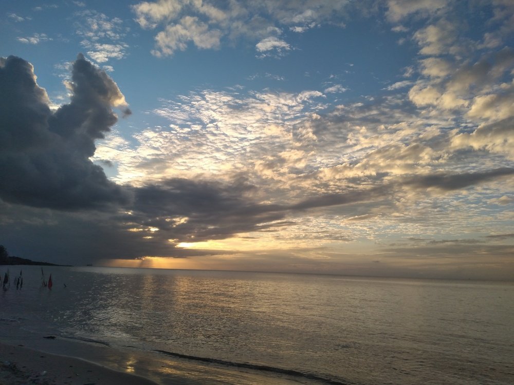 Photo #5463198