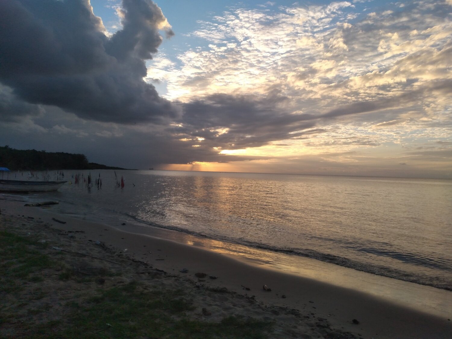 Photo #5463199