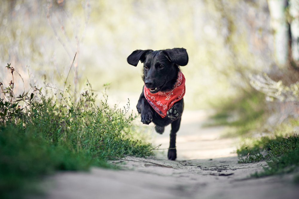 Фотография автора Дарина Матасова