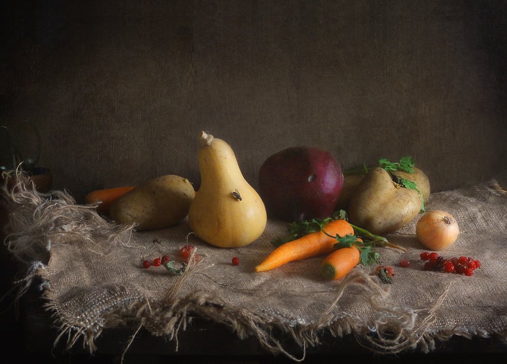 Фотография автора Vera Eremeeva