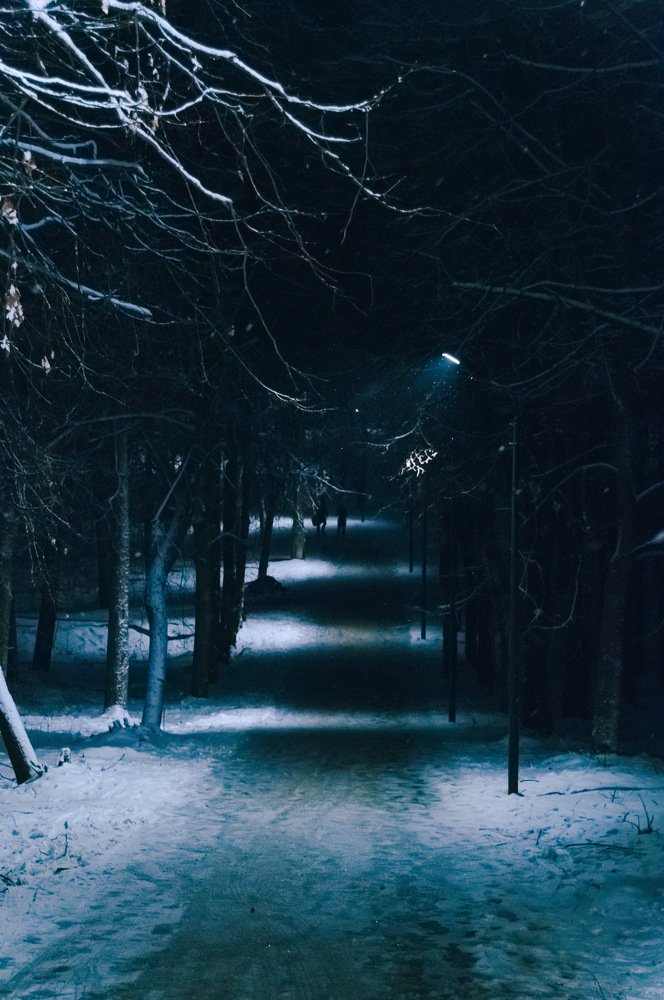 Фотография автора Полина Лебедева