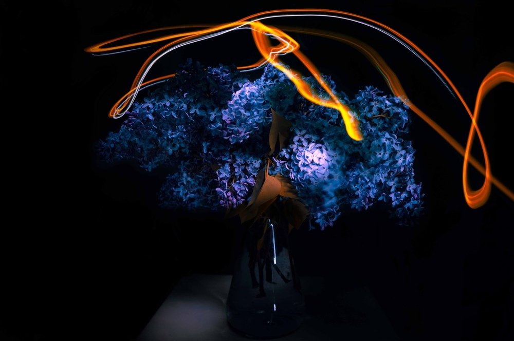 Фотография автора Полина Лебедева