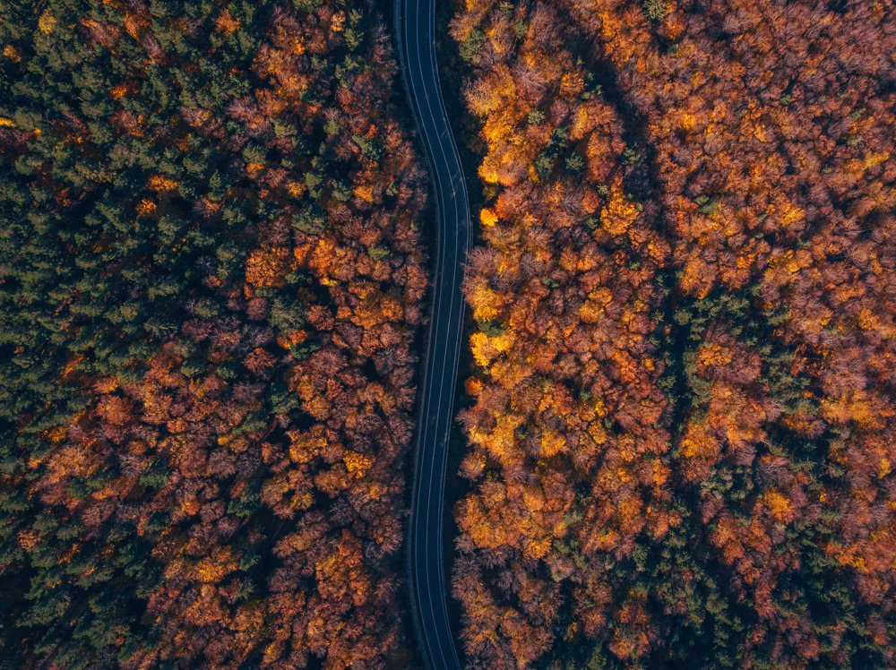 Autumn from above