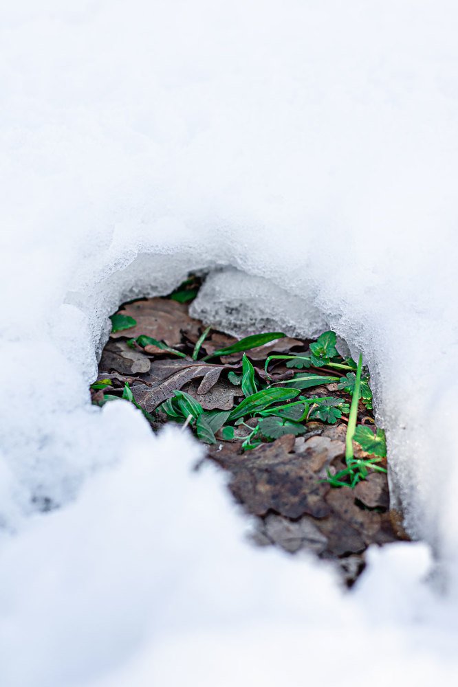 Photograph by Ольга Мельникова