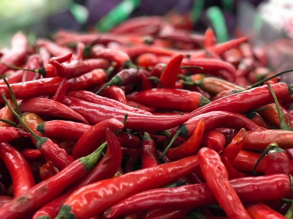 Fresh Red Chilli