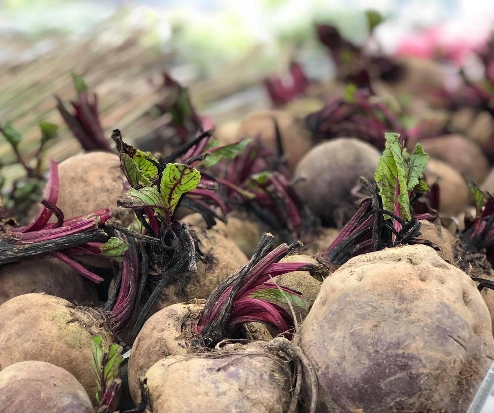 Beet root