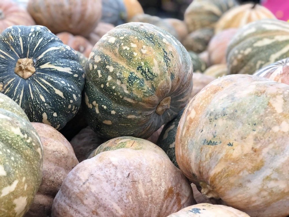 Photograph by Kanageswaran