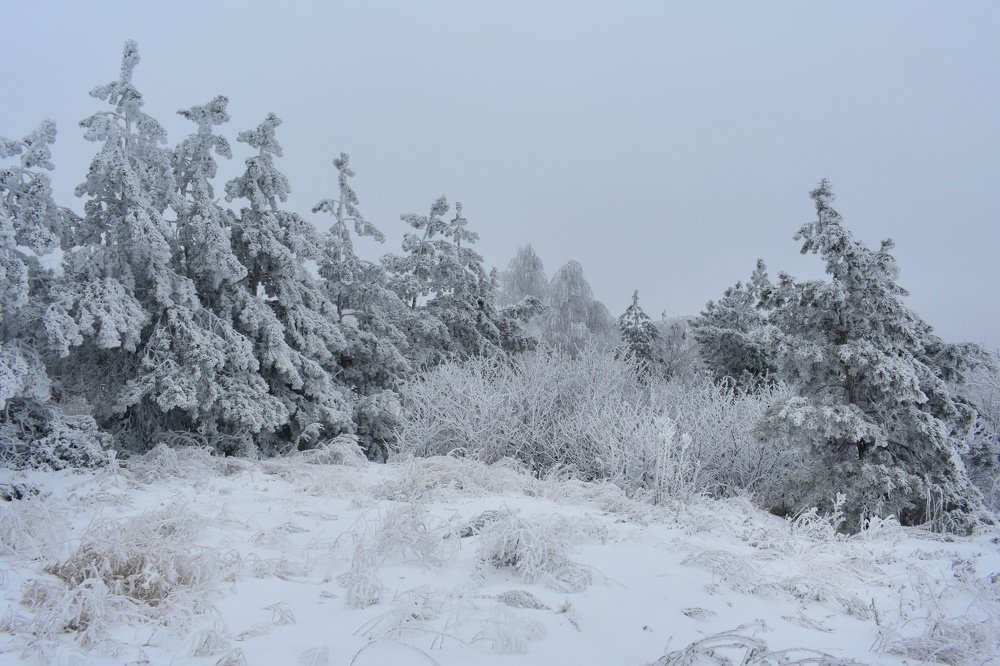 Photograph by Евгения Инютина