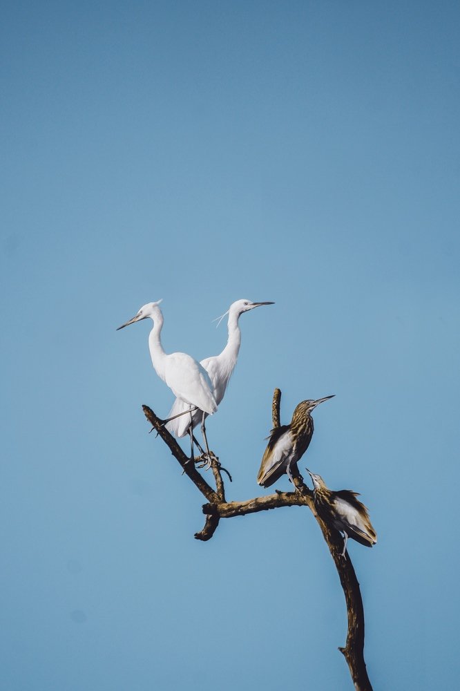 Photograph by Yash Sadawana