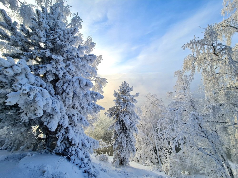 Photograph by Алексей Миронов