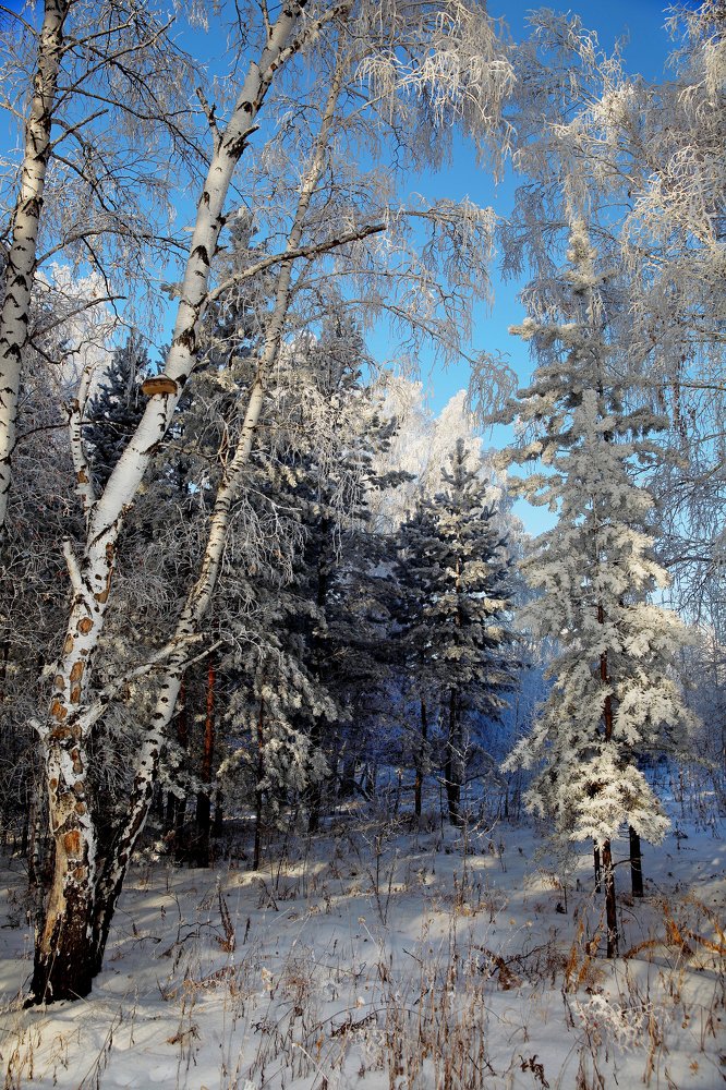 Берендеево царство