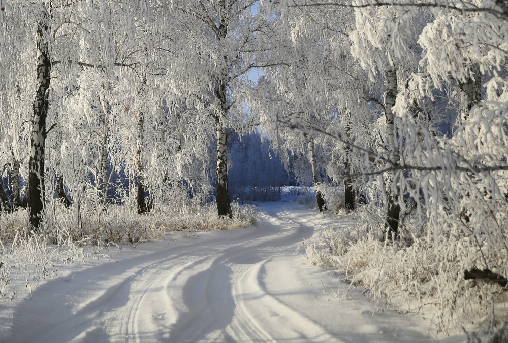 Дорога в зимнюю сказку