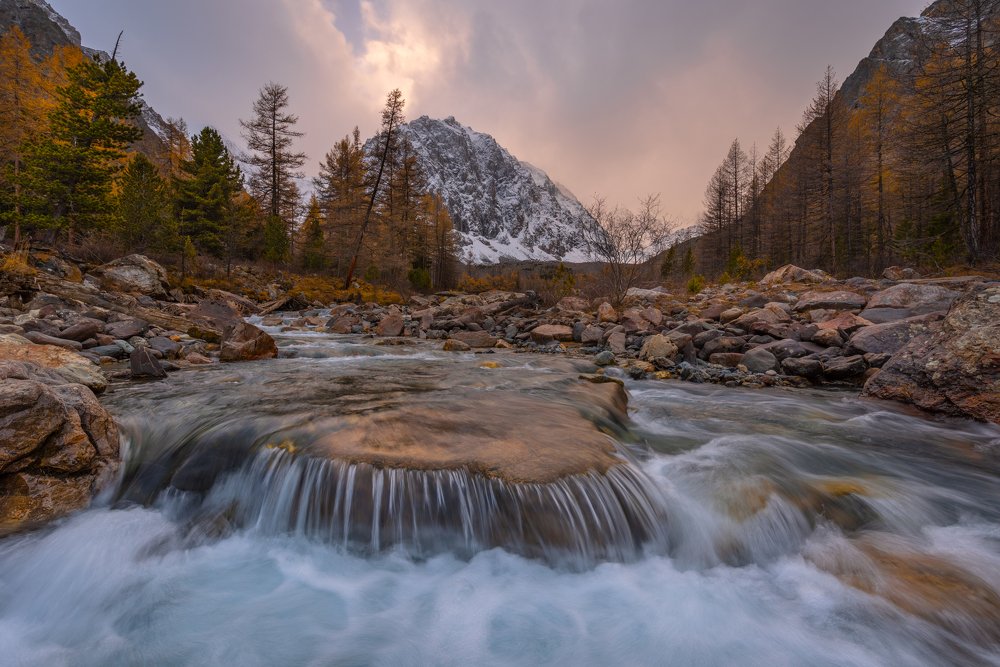 Фотография автора Татьяна Степанова