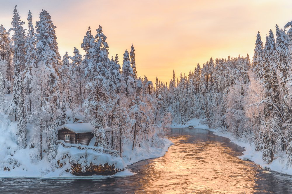 Photograph by Andy Fowlie