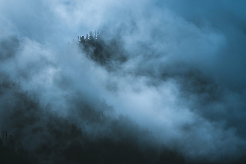 Photograph by Andy Fowlie