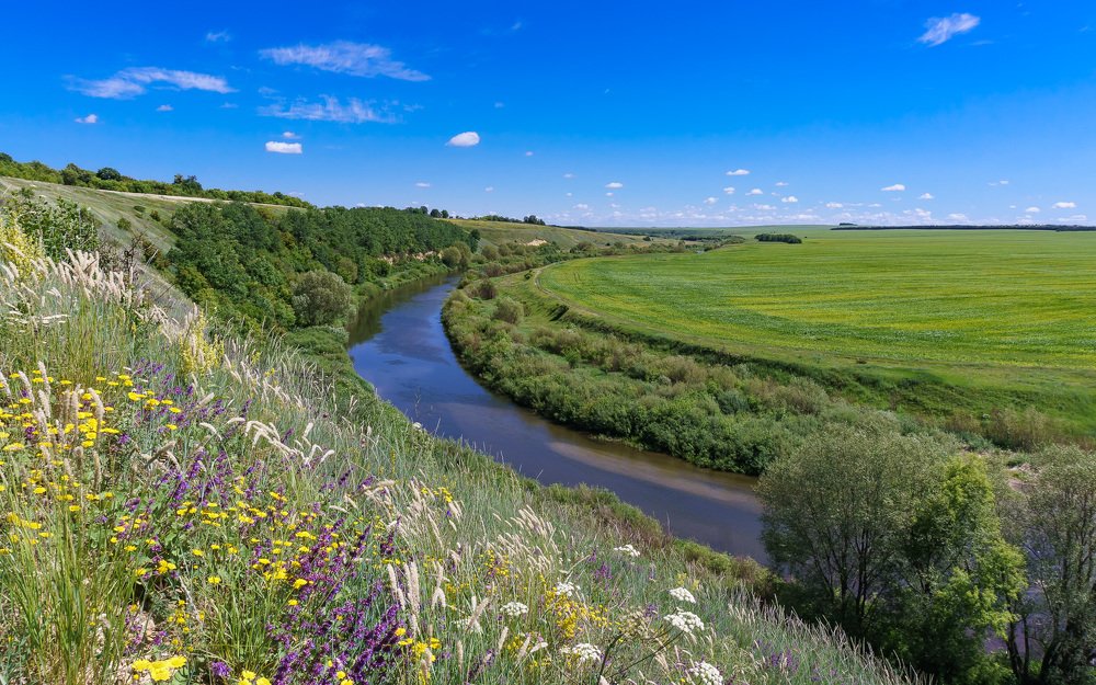 Лето на реке Олым.