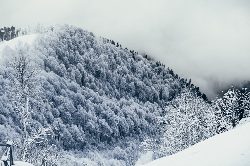 Photograph by Alexey Nikitin