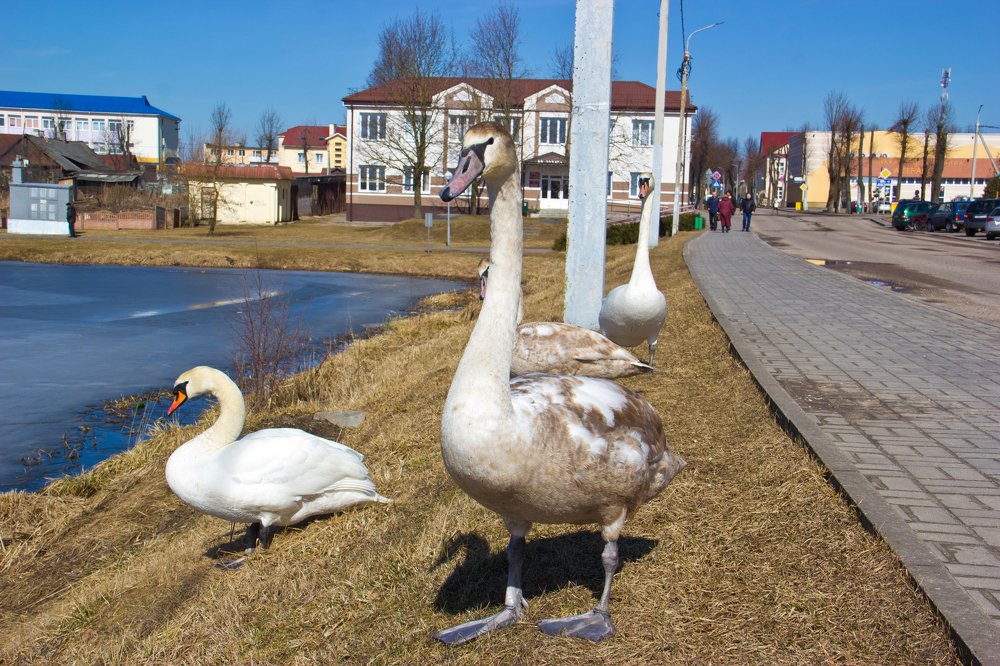 Photograph by Анна-Лаймуте Милошевич