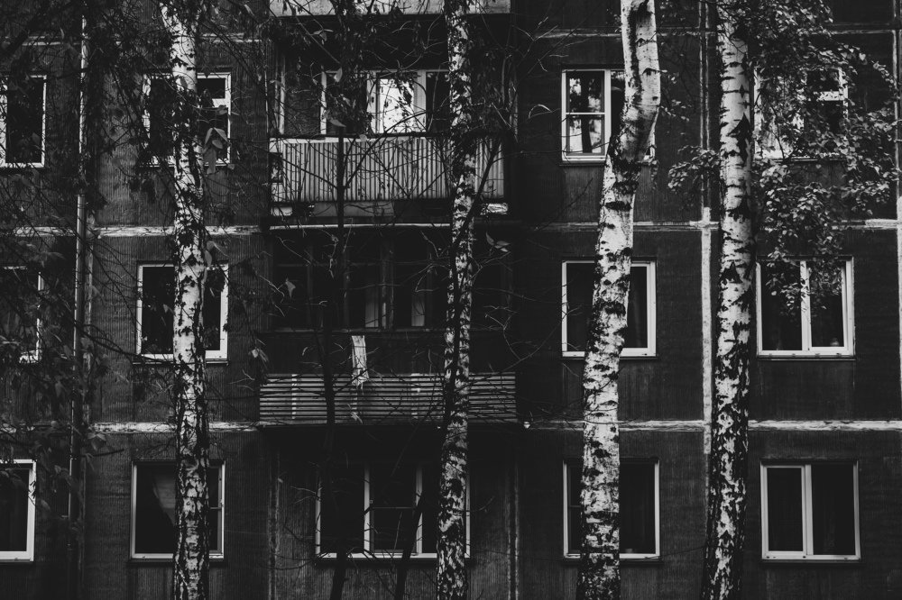 Вид из окна