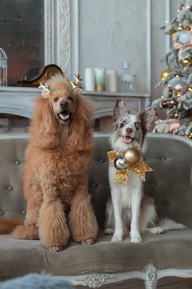 Photograph by Алина Савельева