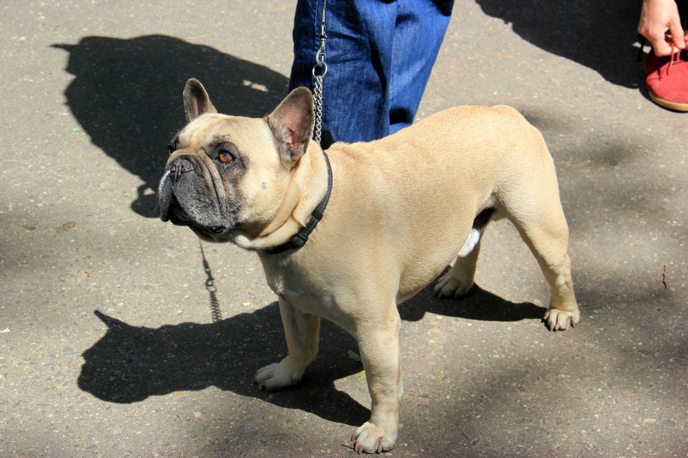 Photograph by Анна-Лаймуте Милошевич