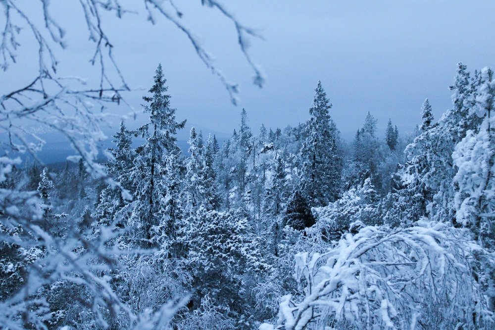Photograph by Елена Водолеева