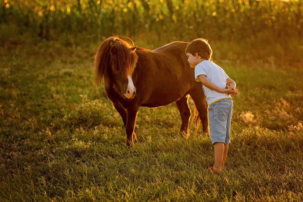 Photograph by Екатерина Масянина